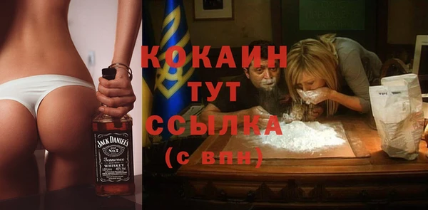 амф Россошь