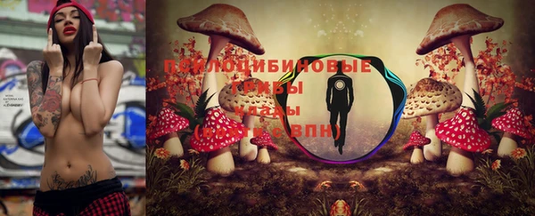 jwh Алзамай
