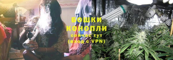 трава Аркадак