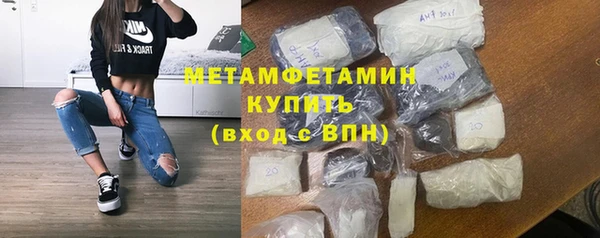 трава Аркадак